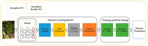 Smart Detection of Tomato Leaf Diseases Using Transfer Learning-Based ...