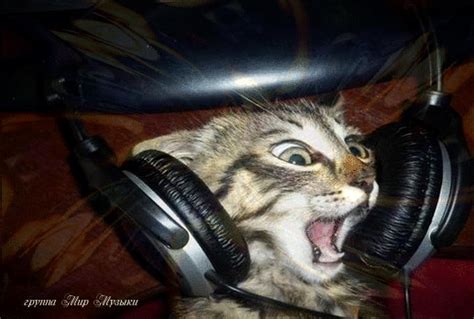 Image result for Cat Generator Control Module