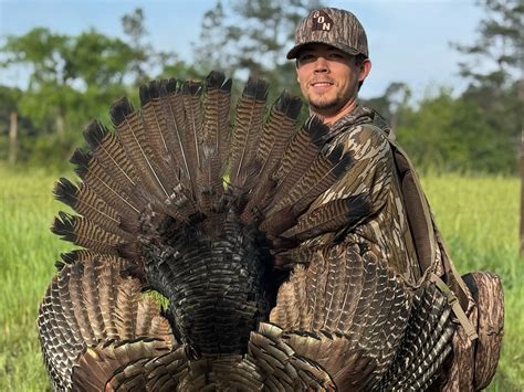 Georgia Turkey Hunting – Georgia Outdoor News