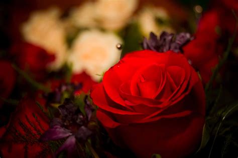 Clark Funeral Home | Cairo GA