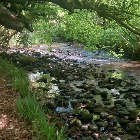 Walk Beyond Recovery - NESS WOODS, DERRY, LONDONDERRY, NORTHERN IRELAND ...