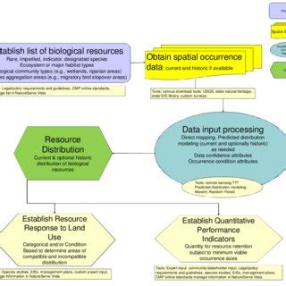 Image result for Example of Biological Process