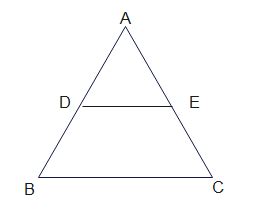 Area of Similar Triangles 的图像结果