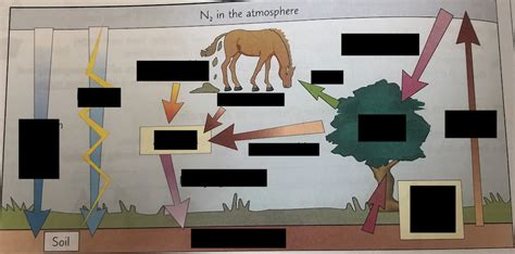 Explain Environment Digramatically 的图像结果