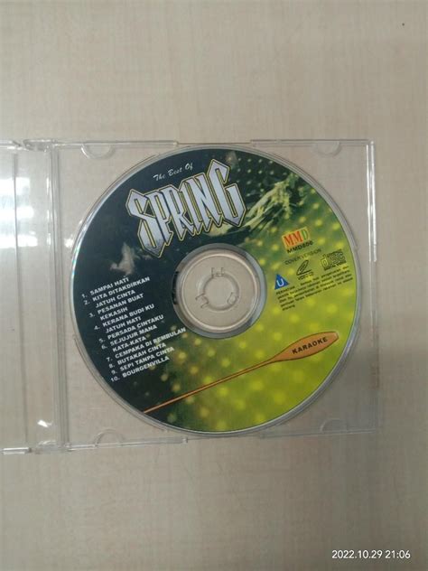 Image result for Springtime Fun VCD