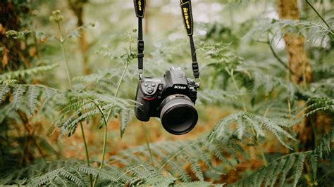 Download wallpaper 1920x1080 camera, lens, technology, fern full hd ...