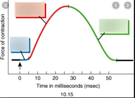 Image result for Myogram