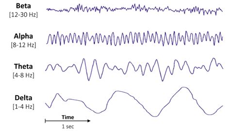 Brain waves Delta, Theta, Alpha, Beta, Gamma vector illustration chart☁ ...