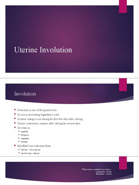 Image result for Uterine Involution