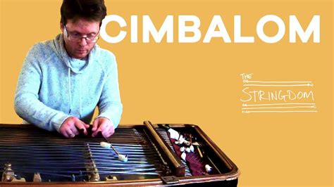 Image result for Unusual String Instruments