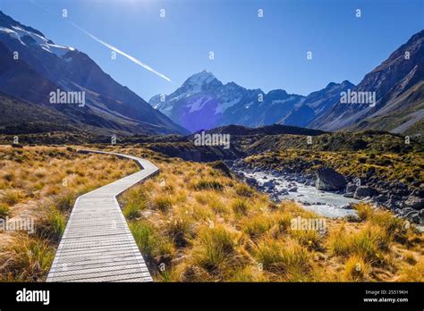 Image result for SVG Move to Right JavaScript