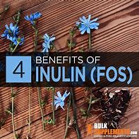 Image result for Inulin Fos