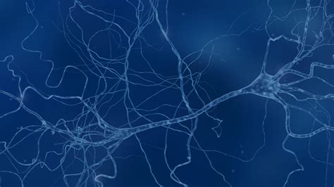 The Importance of Neuroimaging