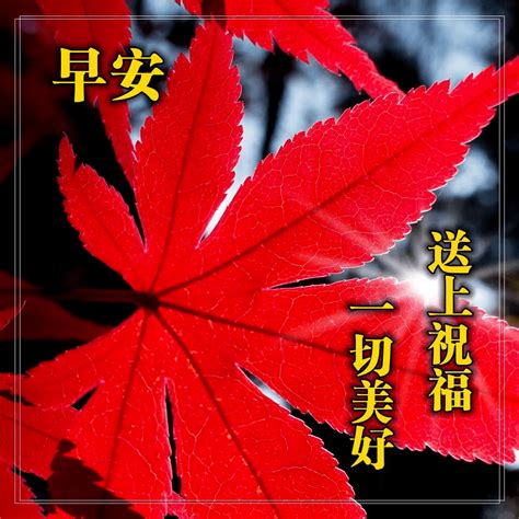 2021年大年初一春节祝福语摘录33条模板下载_大年初一_图客巴巴