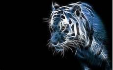 What Is The Best Wallpaper In The World by Best 3d Wallpaper In The World Pixelstalk Net What Is The Best Wallpaper In The World