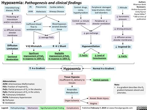 Image result for Hypoxemia Algorithm
