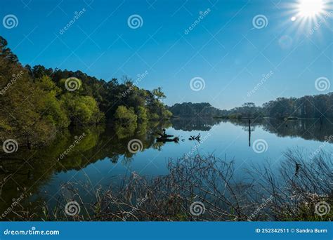 Morning at Harris Neck Wildlife Refuge in Georgia Stock Image - Image ...
