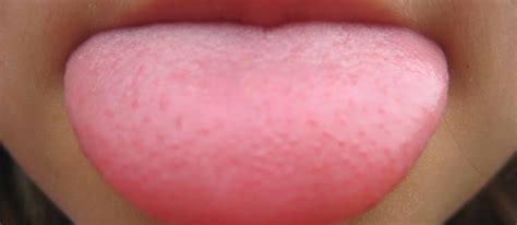 Image result for How to Get Taste Back Faster