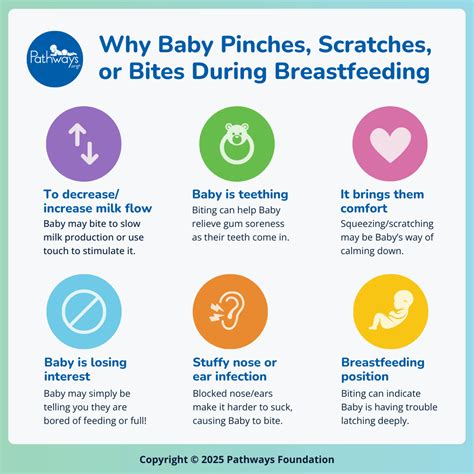 Pathways.org | What to Do If Baby Is Pinching, Scratching, or Biting ...