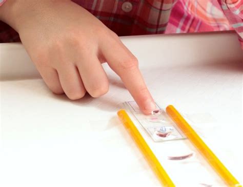 Image result for Homemade Microscope Projects