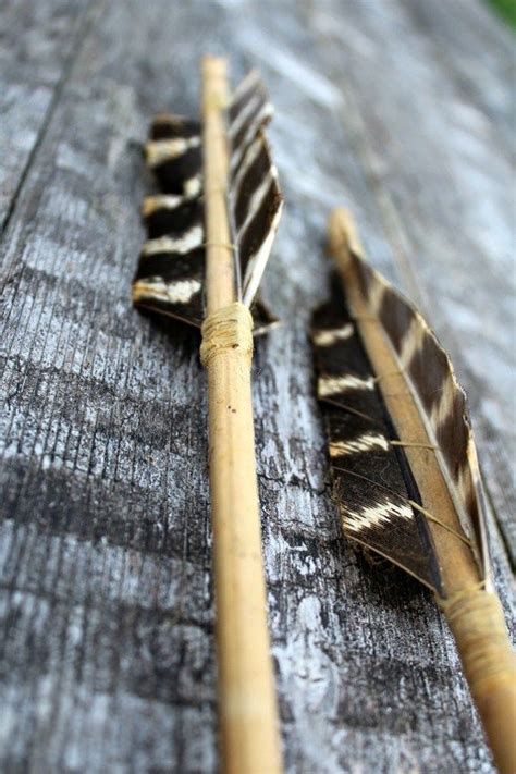 Image result for Primitive Arrows