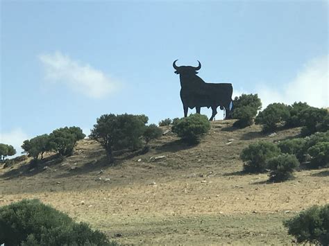 Animals Indigenous to Spain: Discover Unique Wildlife