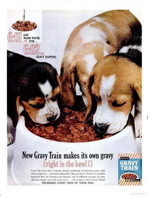 gravy train dog food