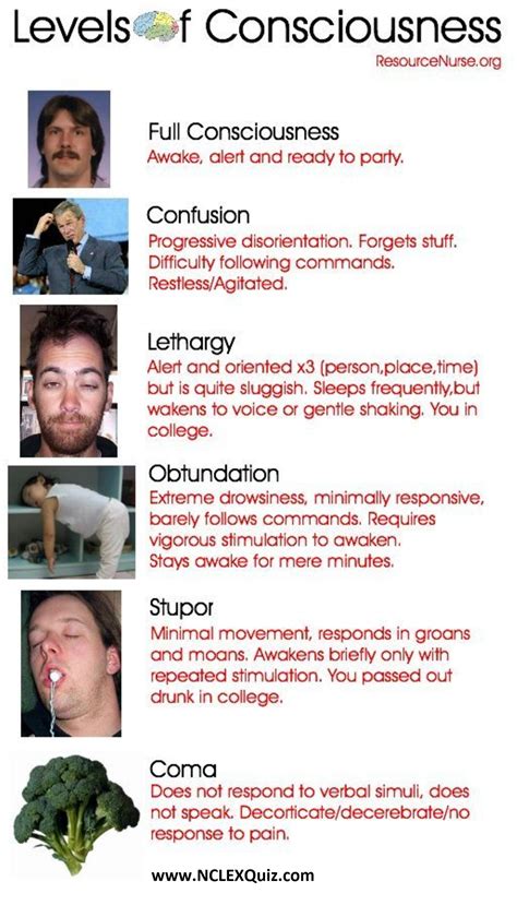 Levels Of Consciousness In Nursing at Edward Mcfarlane blog