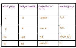 Blood Groups, Lymph and Circulatory pathway - Biology Class 11 - NEET ...