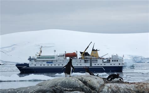 南极，应该如何选船_选船攻略_行之悦旅行|旅行改变视野