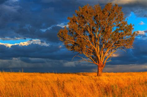 Sunset In Nundle - Canvas Prints by Duane Norrie Photography | Buy ...