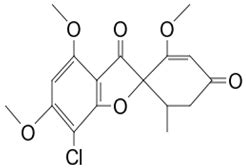 Antifungal Compounds from Microbial Symbionts Associated with Aquatic ...