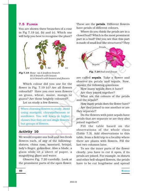 Image result for Class 6 Science Chapter 7 Book