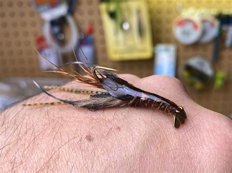 The Crayfish Fly Pattern Tutorial 的图像结果