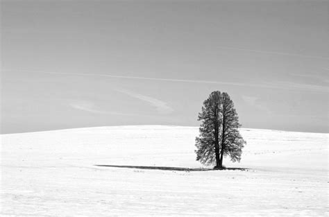 Image result for Natural Light Tutorial