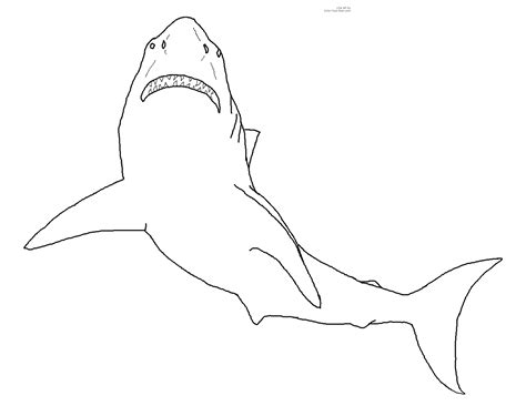 Shark Coloring Pages (7) - Coloring Kids