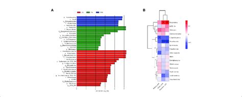Image result for Compute Correlation Matrix Using LDA
