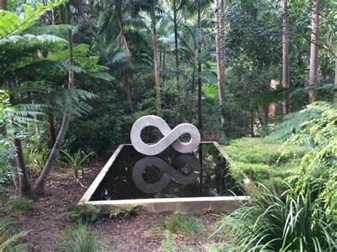 Maroochy Regional Bushland Botanic Garden (Tanawha) - 2020 What to Know ...