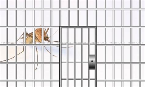 Undertrial Gangster Brings Bottle Filled With Dead Mosquitoes To Court ...