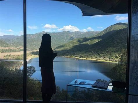 VINA VIK MILLAHUE (Santiago) - Hotel Reviews & Photos - Tripadvisor