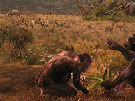 5.7 Million-Year-Old Fossils In Greece May Completely Change What We ...