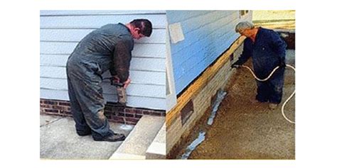 Image result for Matrix Pest Control