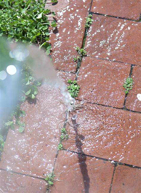 Brick Walkways: How to Kill Weeds Naturally » Jessica Brigham