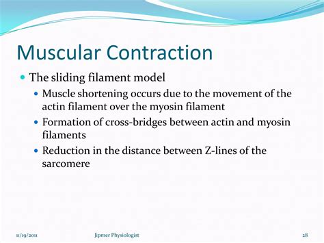 Image result for Skeletal Muscle Function