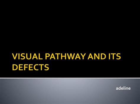 Image result for Visual Pathway Defects