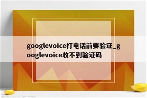 googlevoice打电话前要验证_googlevoice收不到验证码 - google相关 - APPid共享网