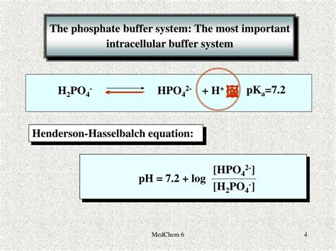Image result for Protein Buffer System