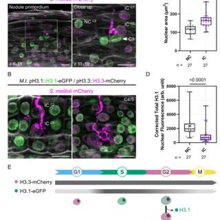 Image result for All Is One Reprogramming