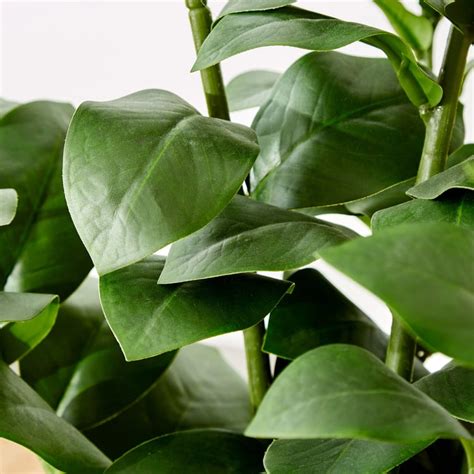 Buy Gardenia Artificial Zamioculcas Tree in Polypropylene Pot - Large ...