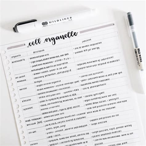 Image result for Cute Study Notes